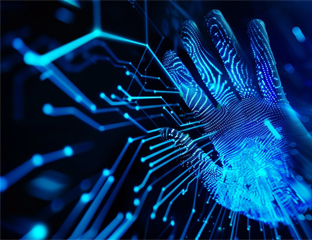 Ringwood Shield Cybersecurity